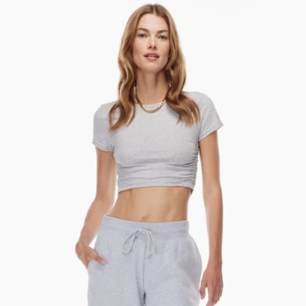 Brand New Aritzia Tna Malibu Cropped T-Shirt in Heather Grey size S